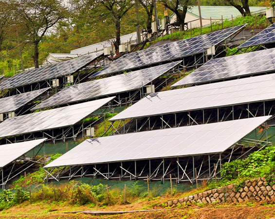 営農型太陽光発電システムの導入なら合同会社パーシモン